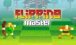 Flipping Master
