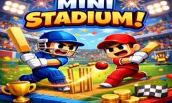 Mini Stadium