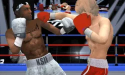 Punch Boxing Championship