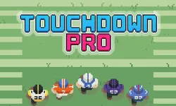 Touchdown Pro